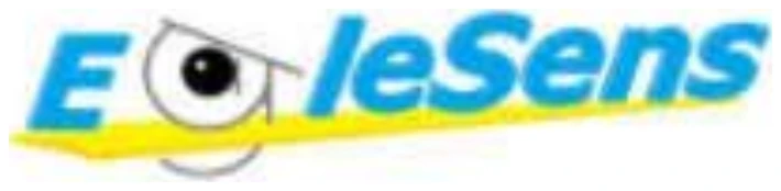 EagleSens logo